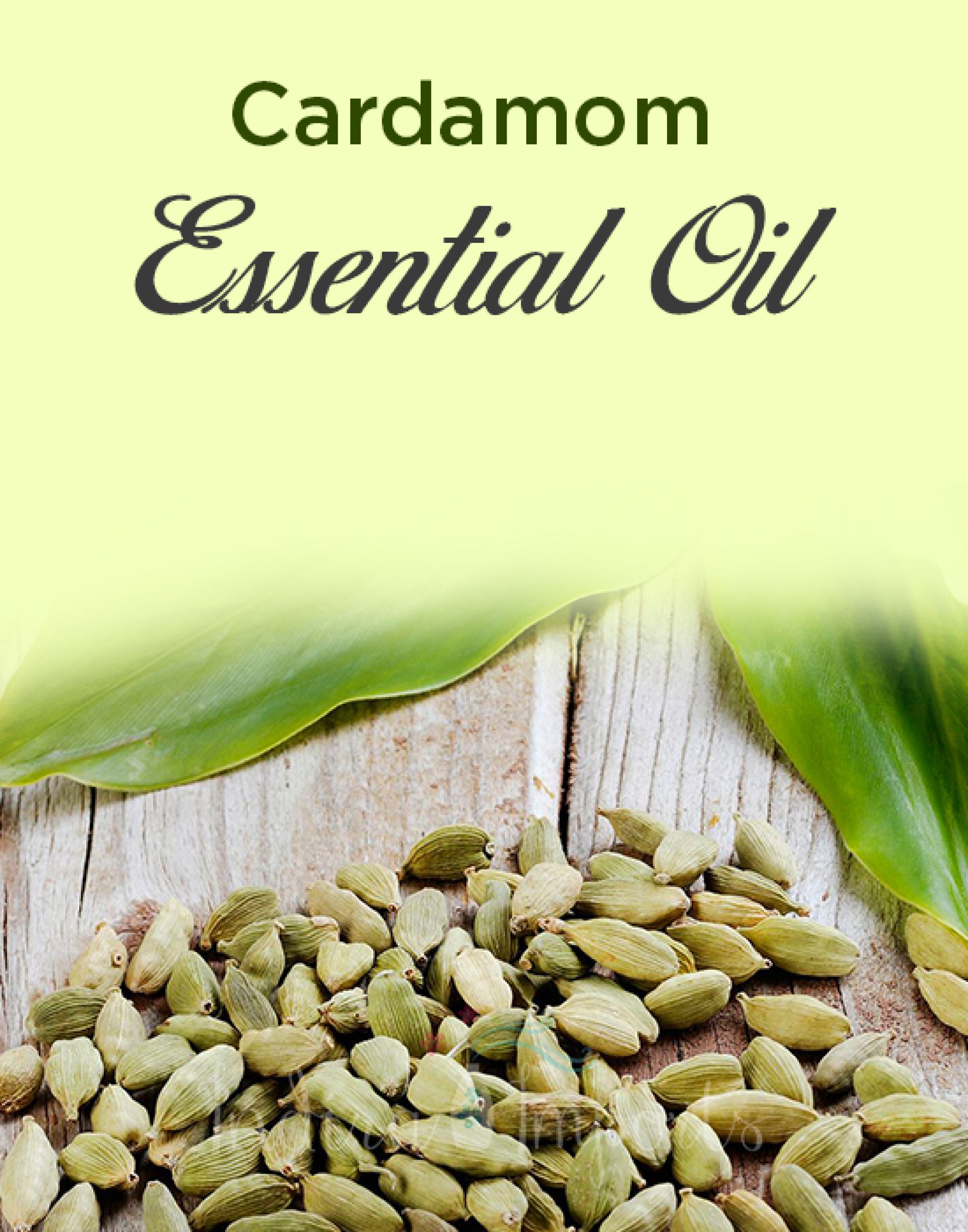 Cardamom Essential Oil