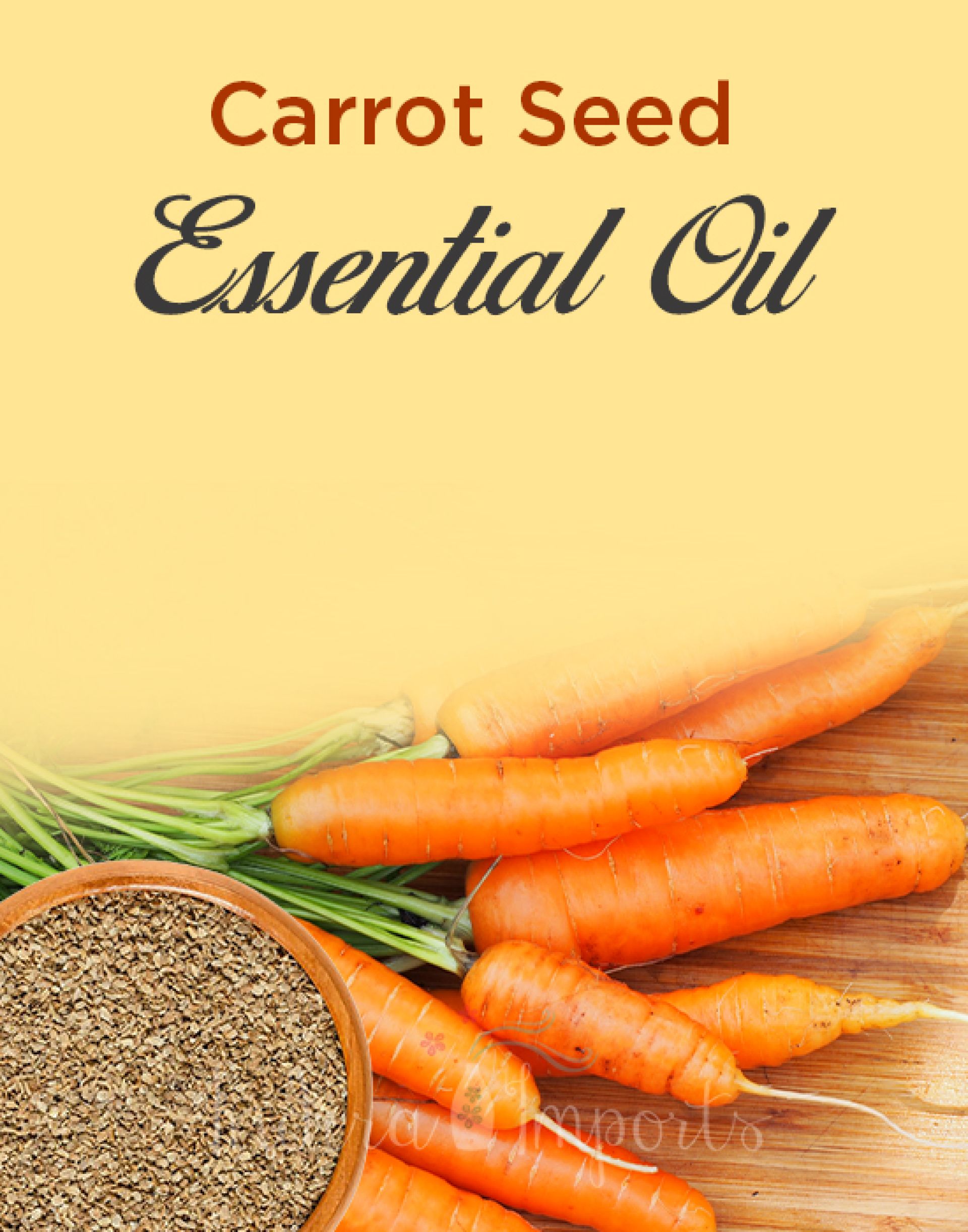Carrot Seed Essential Oil