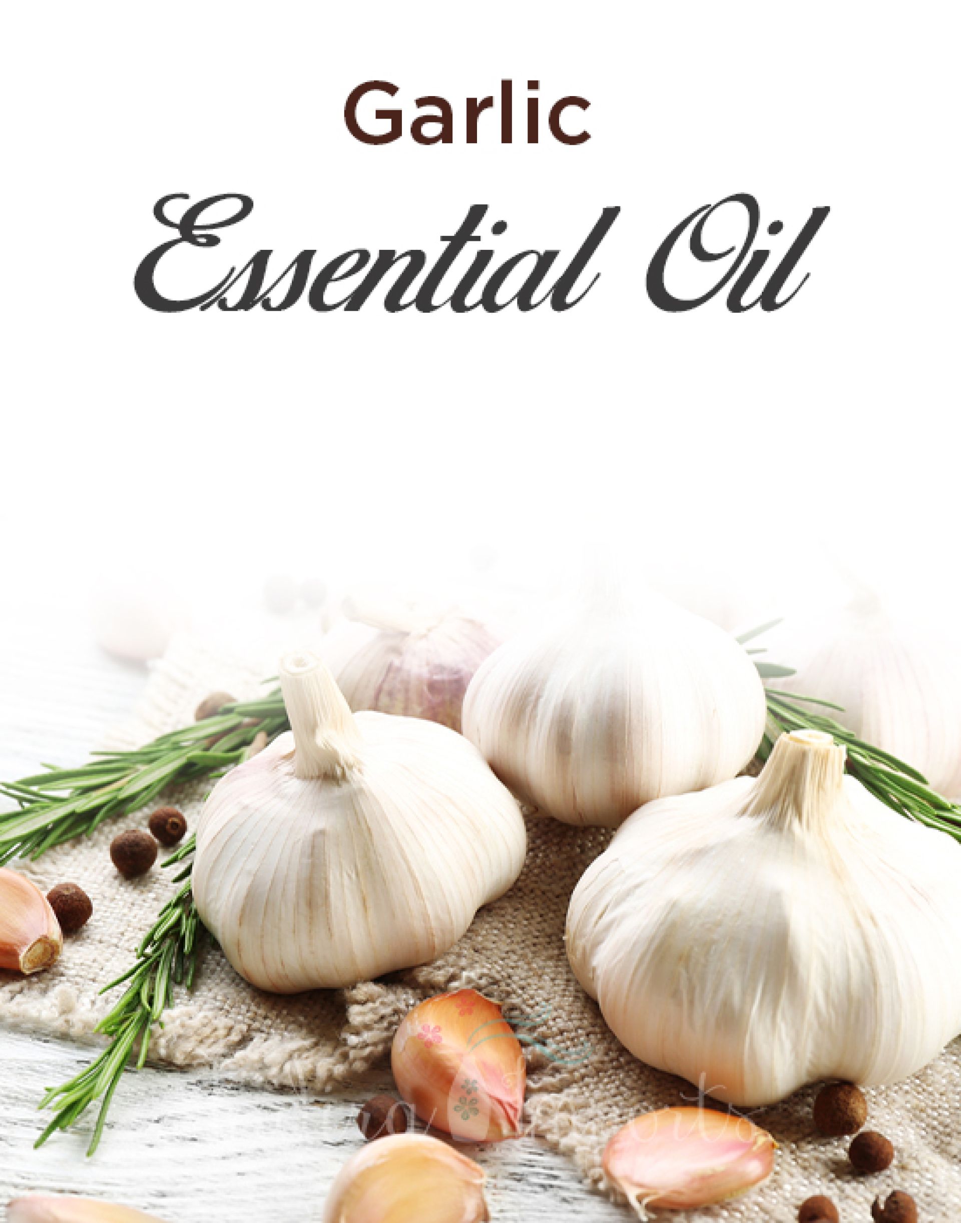 Garlic Essential Oil