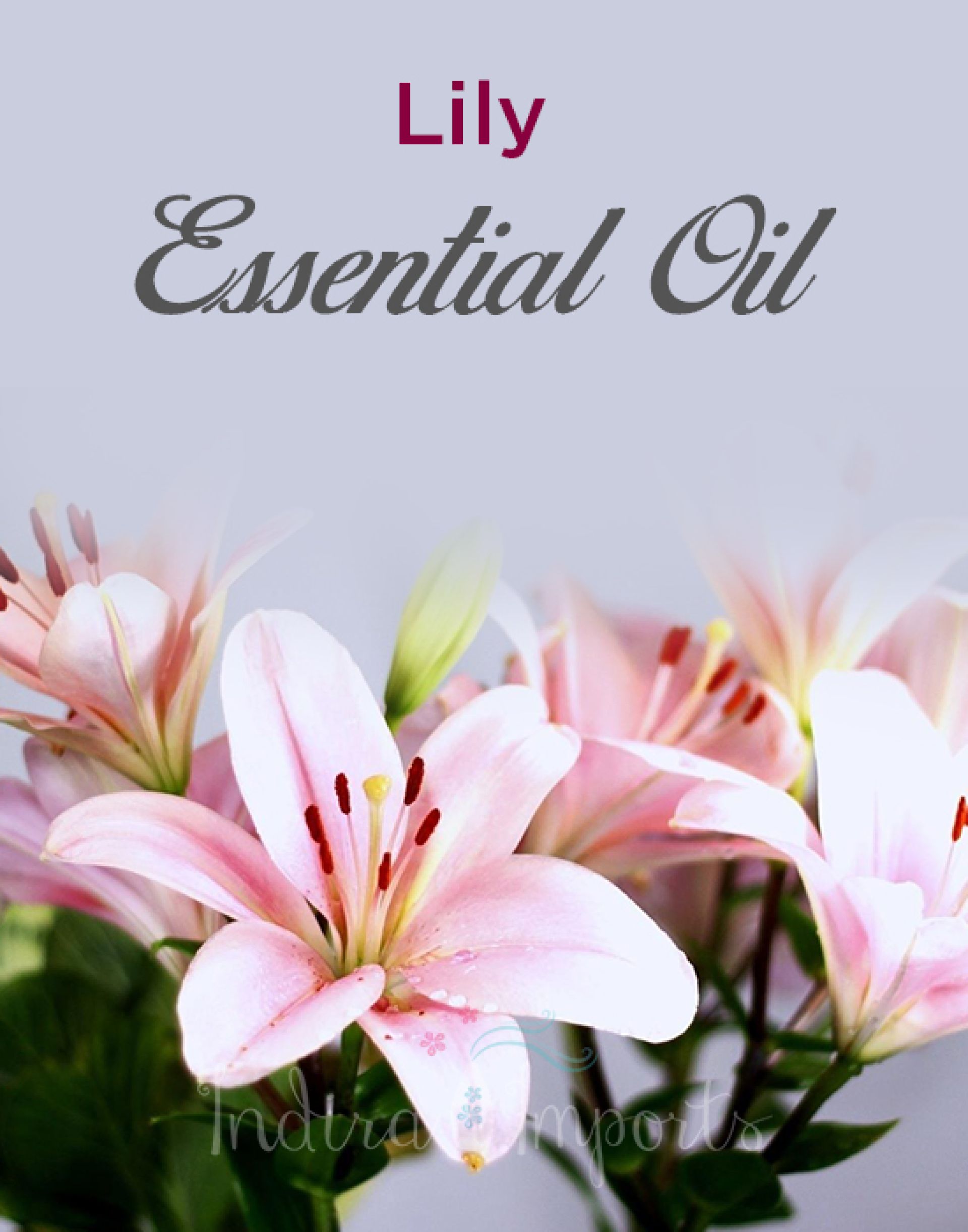 Lily Essential Oil