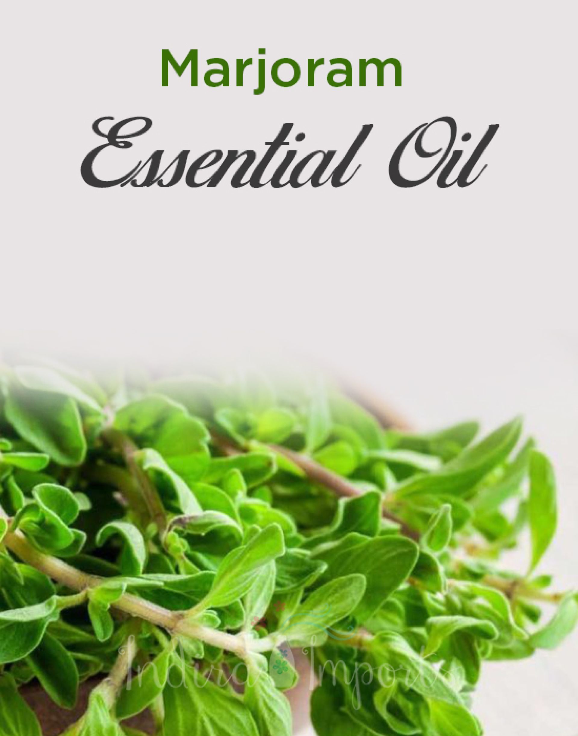 Marjoram Essential Oil