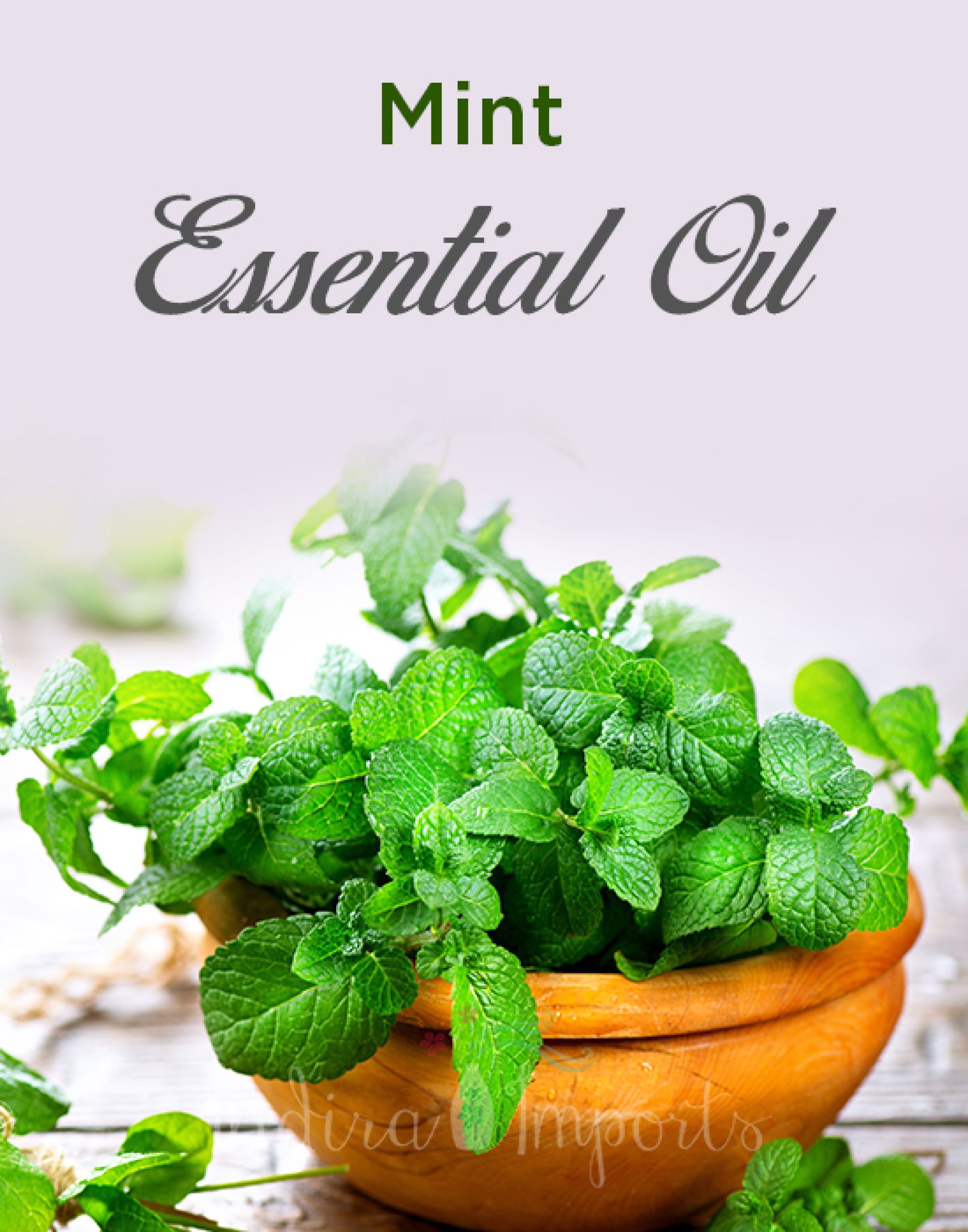 Mint Fresh Essential Oil