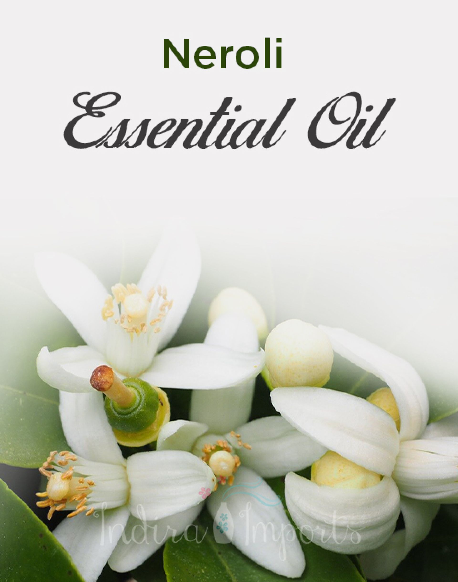 Neroli Essential Oil