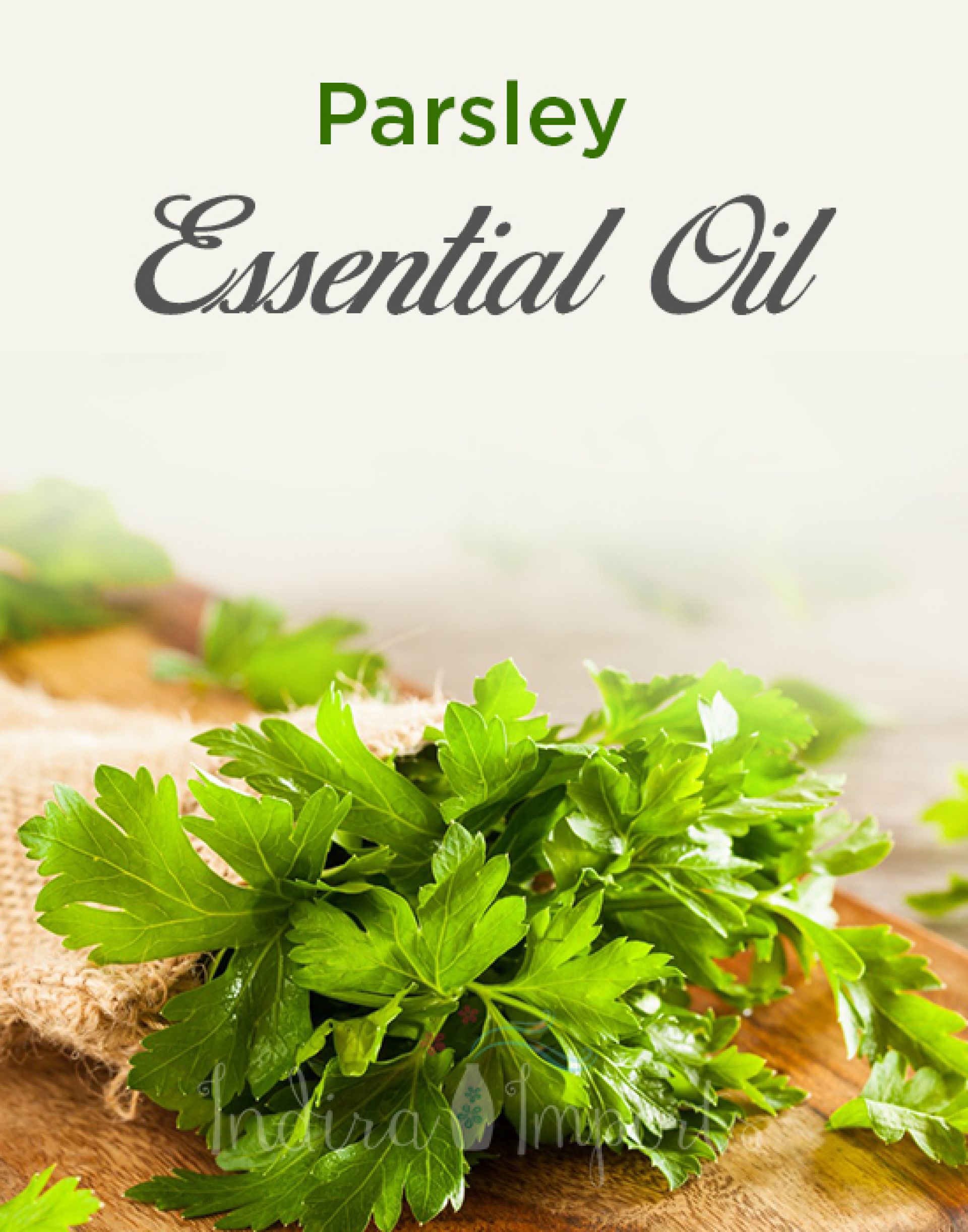 Parsley Essential Oil