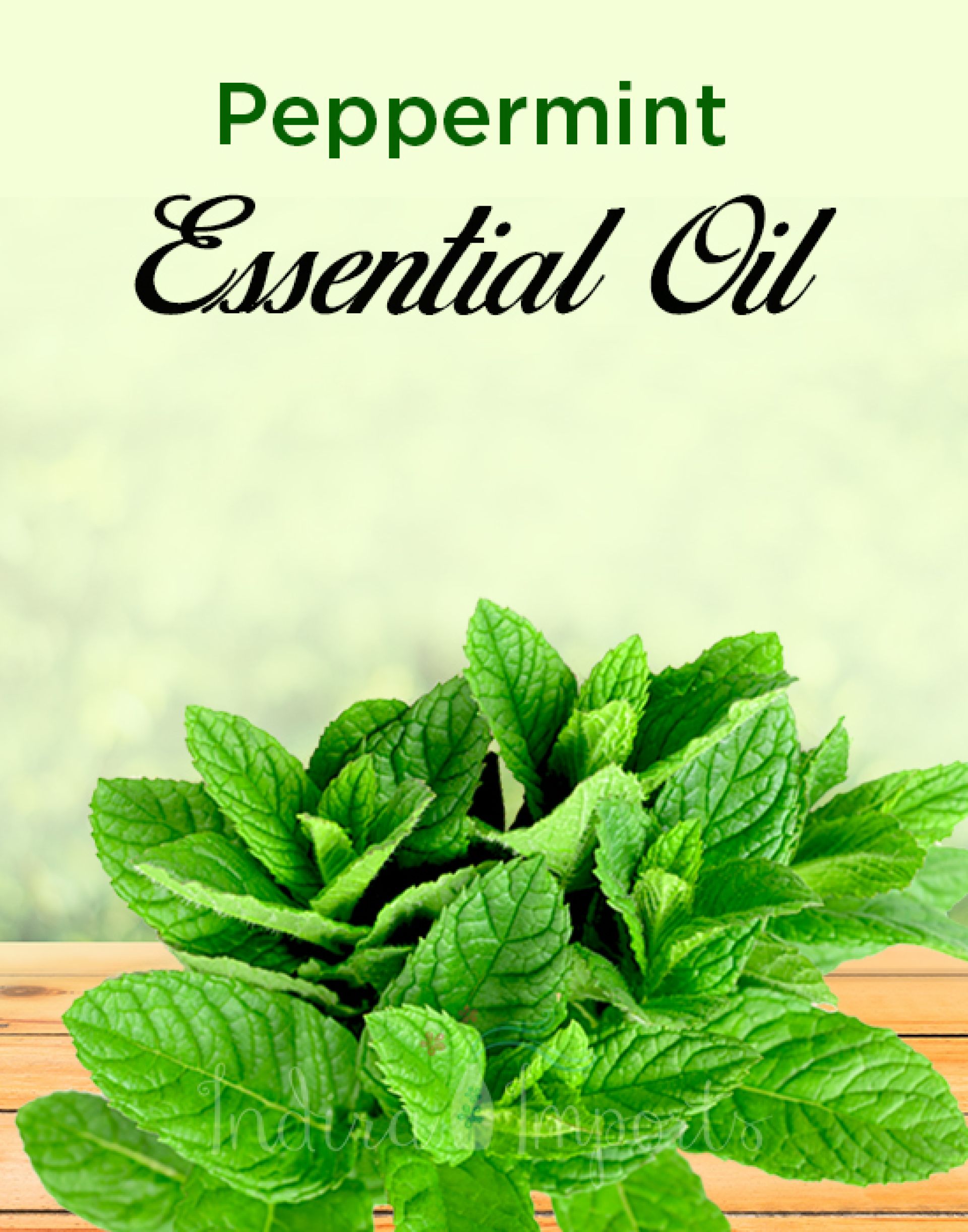 Peppermint Essential Oil