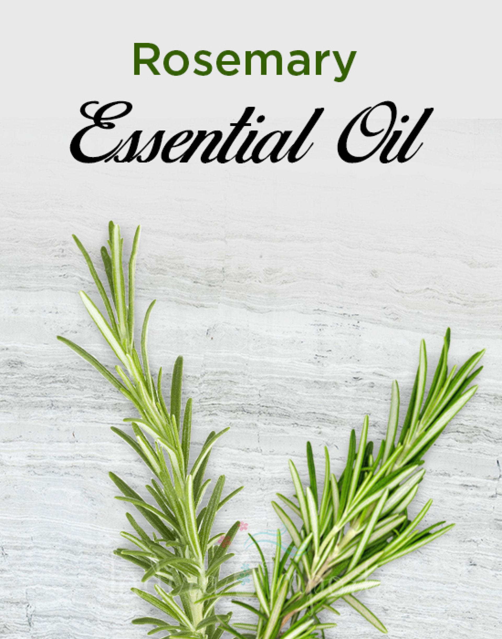 Rosemary Essential Oil